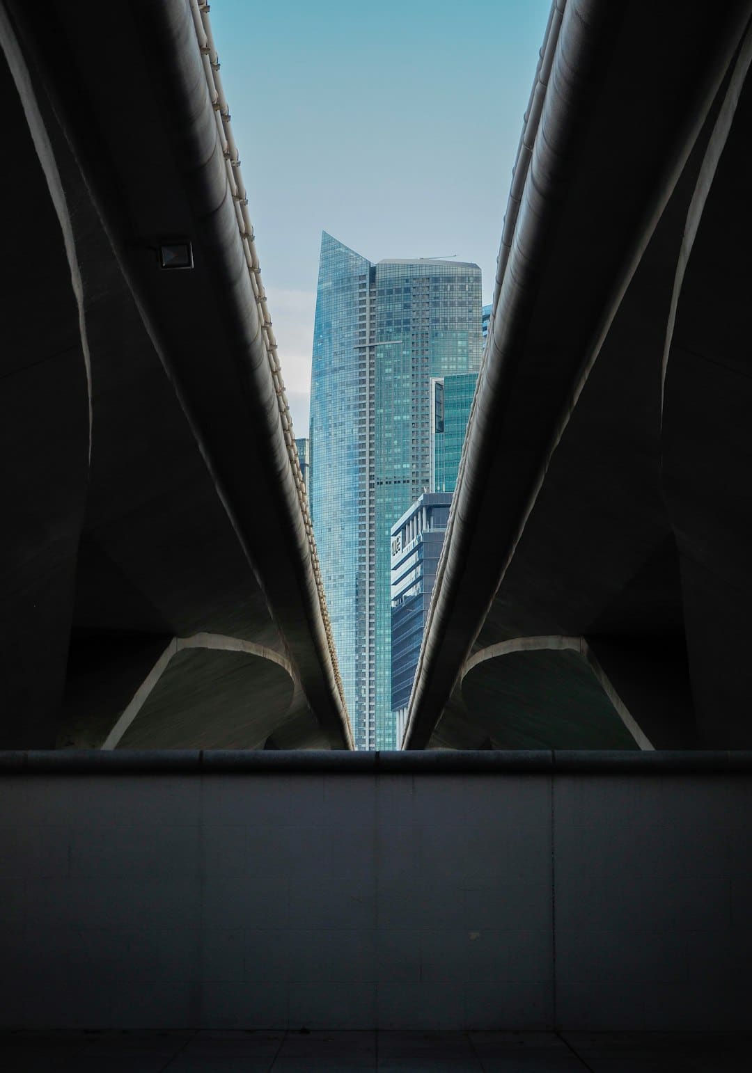 外交部：愿持续为政治解决乌克兰危机发挥建设性效果